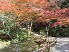 室生寺の自然