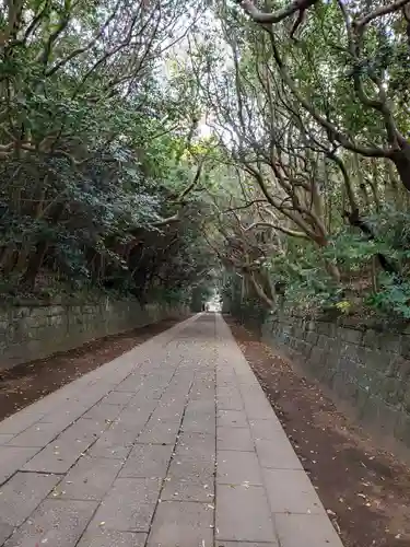 酒列磯前神社の景色