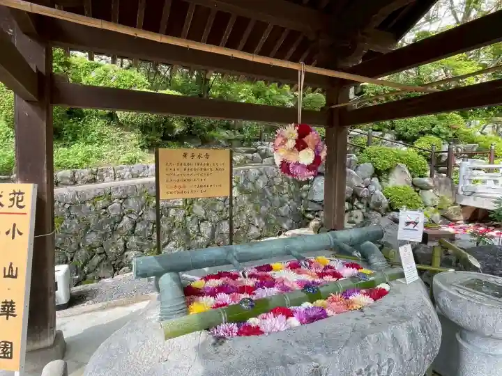 岡寺(龍蓋寺)の{uncategorized: "未分類", other: "その他", undefined: "問題あり", building: "その他建物", grave: "お墓", sacred_gate: "鳥居", guardian: "狛犬", statue: "像", buddha: "仏像", history: "歴史", nature: "自然", garden: "庭園", animal: "動物", pagoda: "塔", temizu: "手水舎", mountain_gate: "山門・神門", sanctuary: "本殿・本堂", subordinate: "末社・摂社", art: "芸術", scenery: "景色", jizo: "地蔵", ema: "絵馬", goshuin: "御朱印", omikuji: "おみくじ", items: "授与品その他", amulet: "お守り", goshuincho: "御朱印帳", eats: "食事", festival: "お祭り", votive_dance: "神楽", shichigosan: "七五三参", wedding: "結婚式", experience: "体験その他", initially: "初詣", around: "周辺", anti_infection: "感染症対策"}