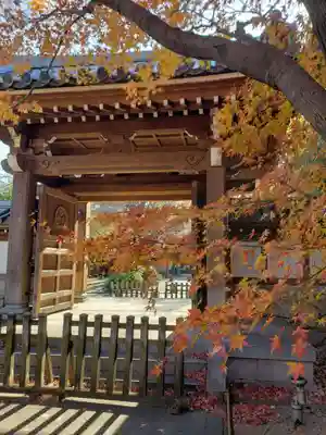 高円寺の山門・神門