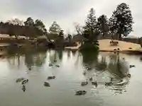 東本願寺本廟 牛久浄苑(牛久大仏)(茨城県)