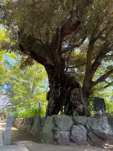 千手院(千葉県)