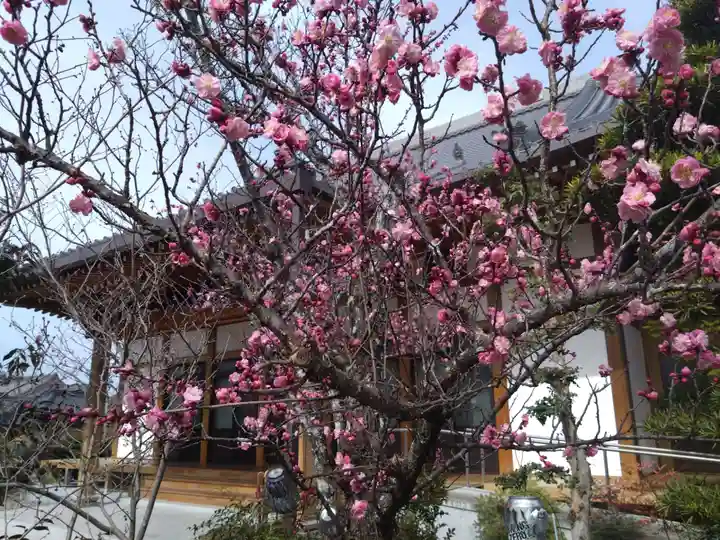 礼善寺(愛知県)