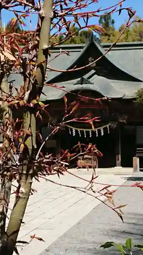 秩父神社の本殿