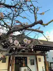 神楽坂安養寺(東京都)