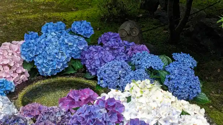 勝林寺(京都府)