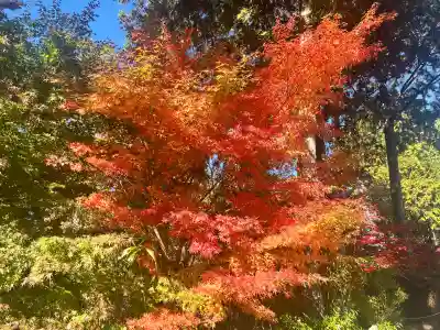常樂寺(滋賀県)