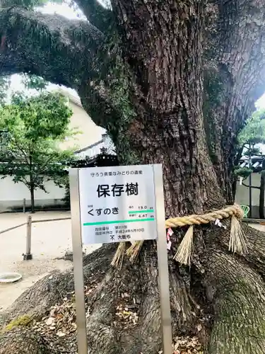 大聖観音寺（あびこ観音）(大阪府)