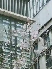 福徳神社（芽吹稲荷）の動物