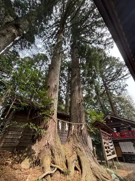 坪沼八幡神社(宮城県)