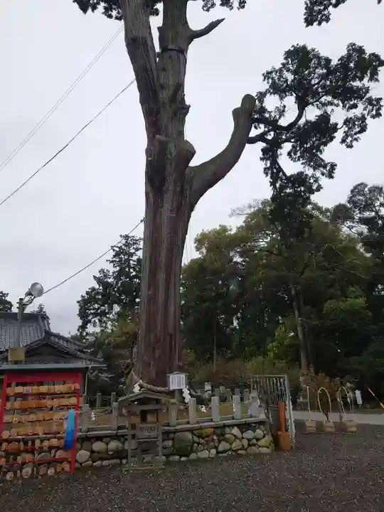 矢奈比賣神社(見付天神)(静岡県)