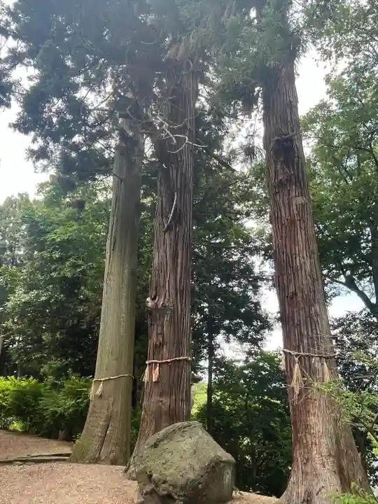 興福寺(宮城県)