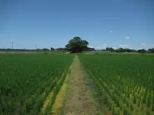 神明神社(千葉県)