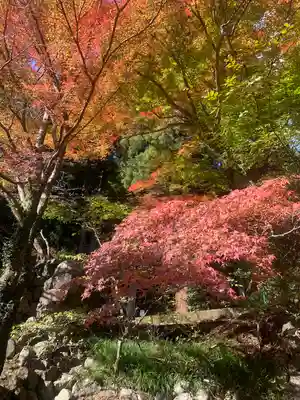 養老神社(岐阜県)