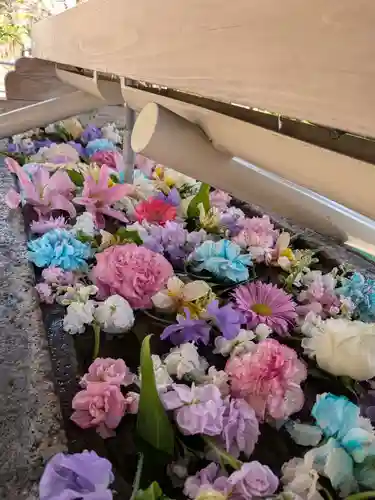 鳩森八幡神社(東京都)