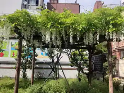 亀戸 香取神社(東京都)