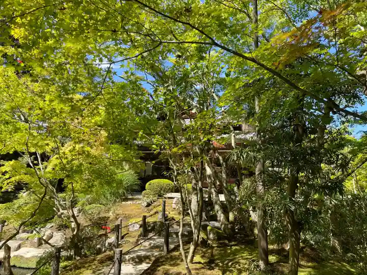天授庵(京都府)