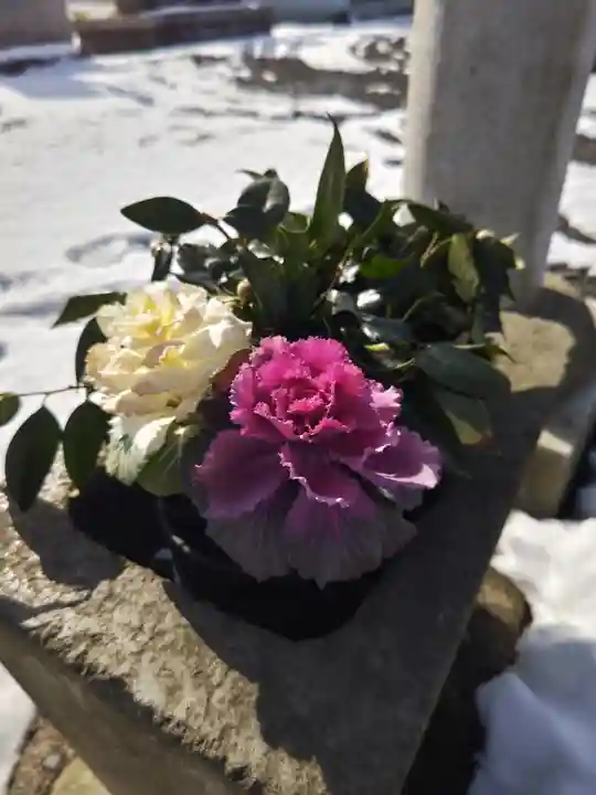 熊野福藏神社の自然