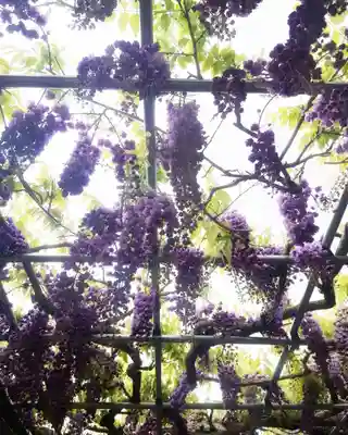 秋葉神社の自然