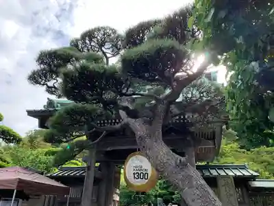 長谷寺の山門・神門