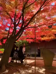 滑川神社 - 仕事と子どもの守り神(福島県)(2025年11月15日(土) 21時11分27秒投稿)