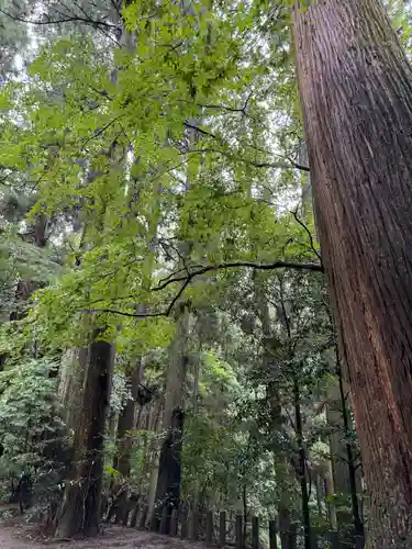 槵觸神社(宮崎県)