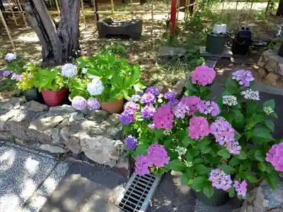 発寒神社(北海道)
