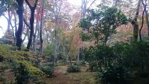 祇王寺の庭園