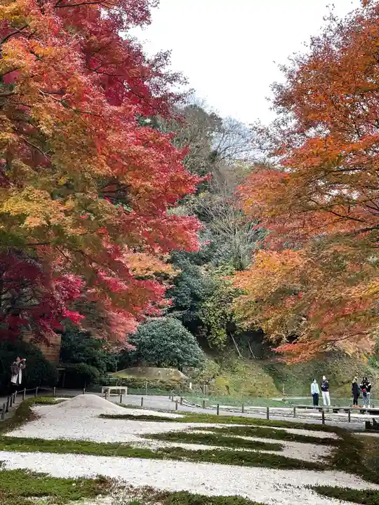 明月院(神奈川県)