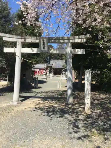 素盞嗚社の鳥居