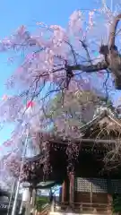 熊野神社の本殿