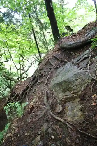 武蔵御嶽神社奥の院(東京都)