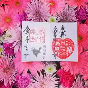 白山神社の御朱印(2021年10月28日(木) 16時49分53秒投稿)