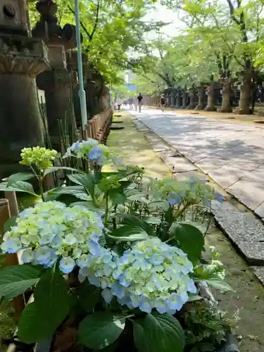 上野東照宮の御朱印