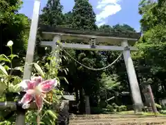 御崎神社の鳥居