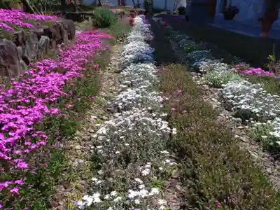 寿量山 速成寺(奈良県)