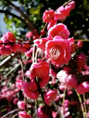 成子天神社(東京都)