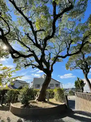 日吉神社(福岡県)