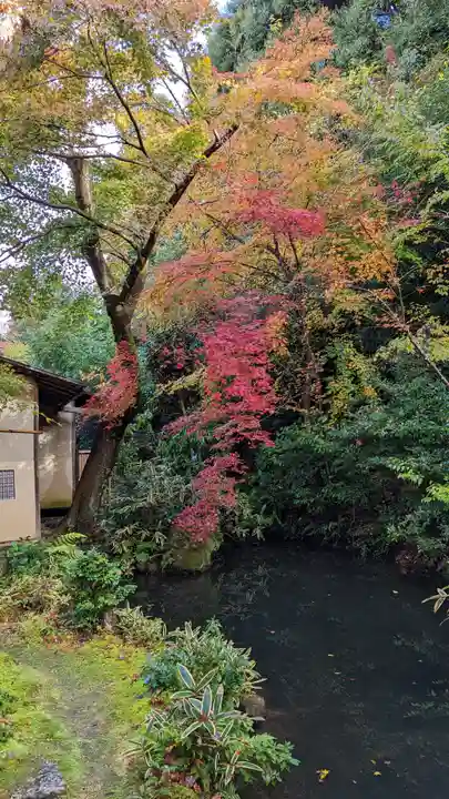 来迎院(京都府)