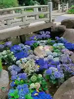 岡寺(龍蓋寺)(奈良県)