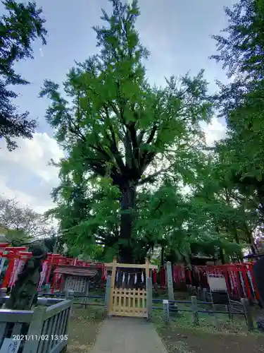 法明寺(東京都)