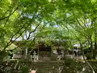 勝持寺(花の寺)(京都府)