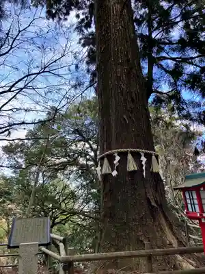 高尾山薬王院(東京都)