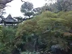 玉泉寺(神奈川県)