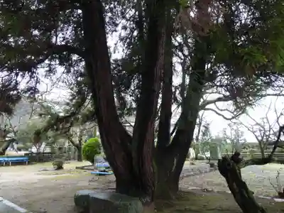 香園寺(愛媛県)