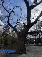 相馬神社(北海道)
