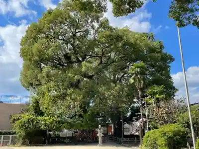 山王神社(長崎県)