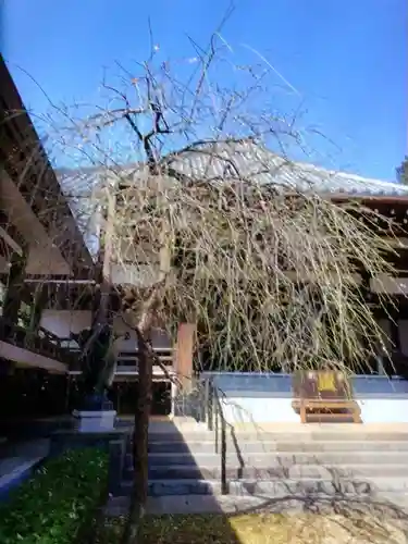 妙法寺(東京都)