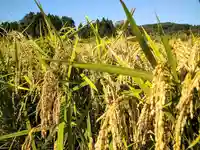 熊野神社(宮城県)