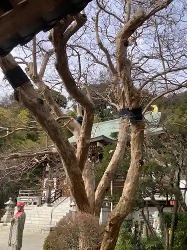 定光寺(神奈川県)